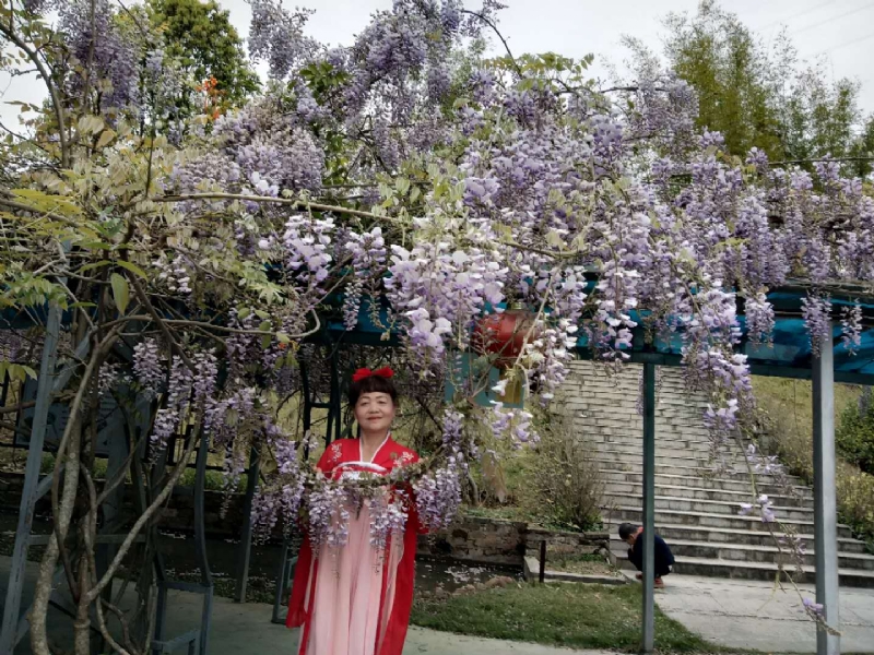 莉莉的第一张照片--福建残疾人相亲网