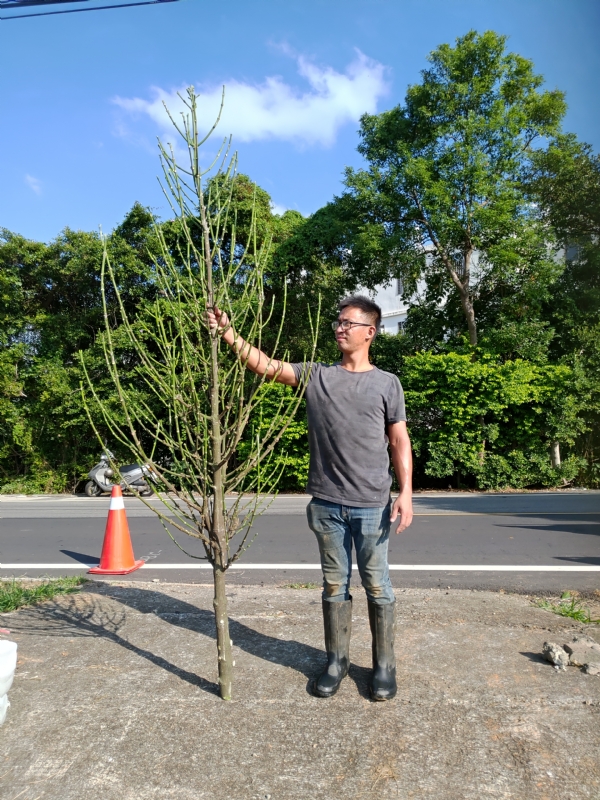 jeff的第二张照片--福建残疾人相亲网