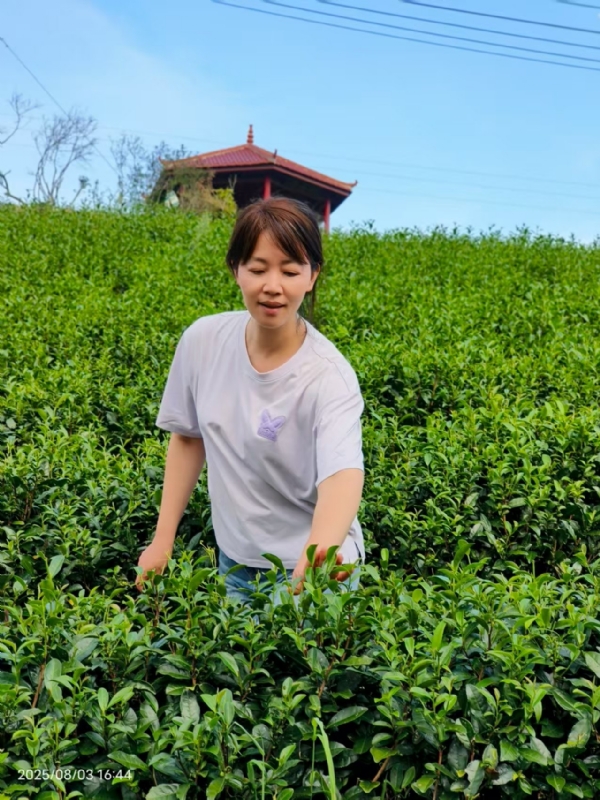 Q绮芳的第一张照片--福建残疾人相亲网